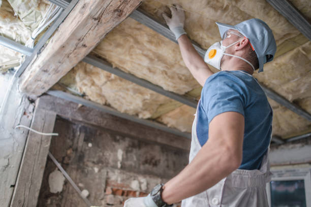 Best Commercial Insulation in Riverdale Park, CA