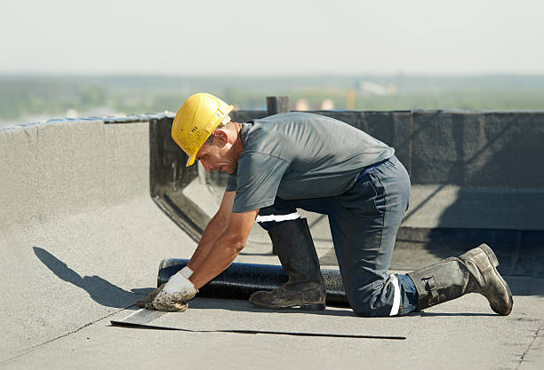 Best Specialized Insulation Services in Riverdale Park, CA