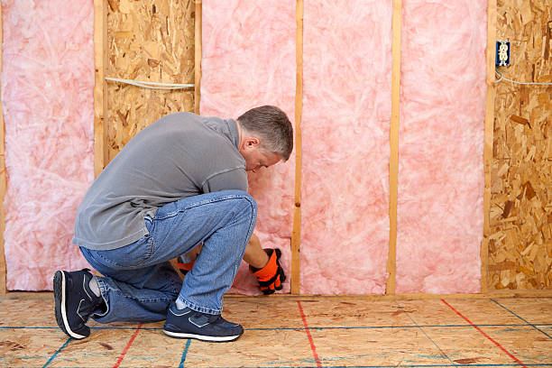 Best Blown-in Insulation in Riverdale Park, CA