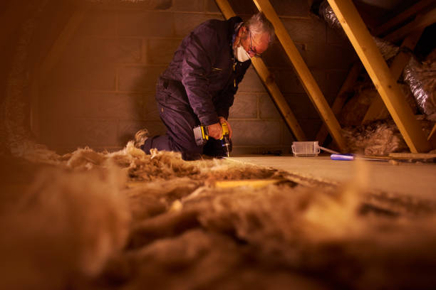 Best Insulation Maintenance and Repair in Riverdale Park, CA